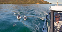 Freycinet National Park